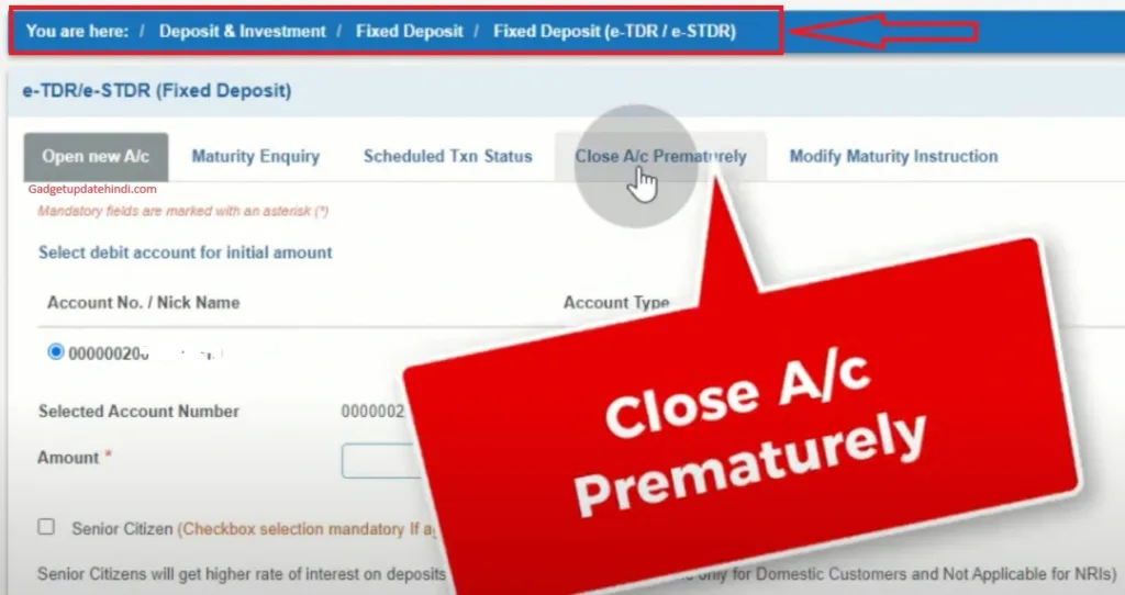 sbi fd premature withdrawal through internet banking